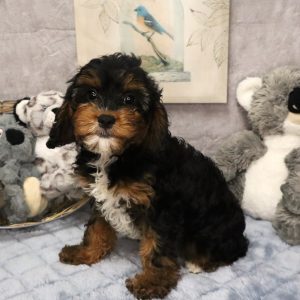 MARLOWE